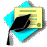 Curriculum vita